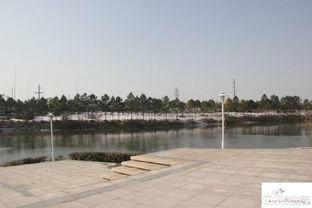 高淳东方曼园爆料最新消息,揭秘项目进展与亮点 第2张 高淳东方曼园爆料最新消息,揭秘项目进展与亮点 第2张