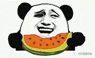 吃瓜群众网不红,网络红人的幕后故事