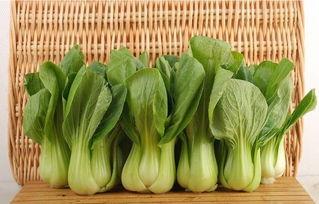 青菜爆料视频大全集最新,揭秘娱乐圈幕后真相